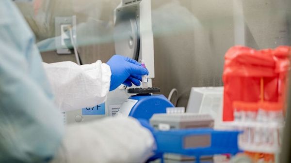 В Израиле заявили о создании препарата от коронавируса