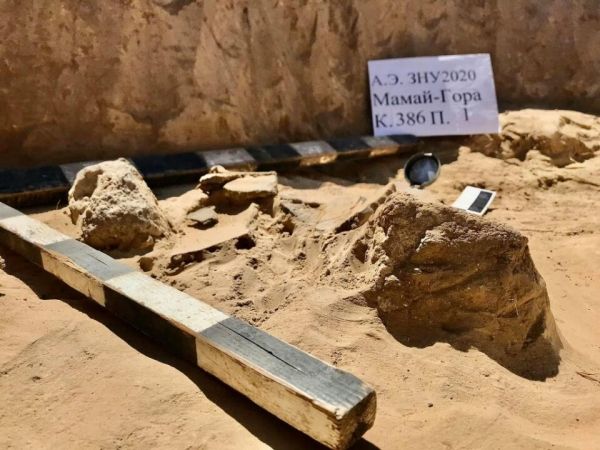 Археологи рассказали об артефактах, найденных в ямах скифов в Запорожской области. Фото