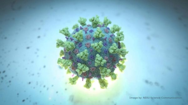     Коронавирус 2020 – ученые анонсировали новый коронавирус-мутант - коронавирус новости    