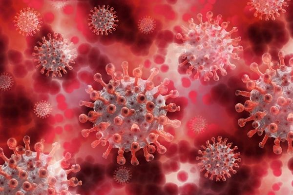     Коронавирус 2020 - Ученые придумали еще один способ определить тяжесть COVID-19 - коронавирус новости    