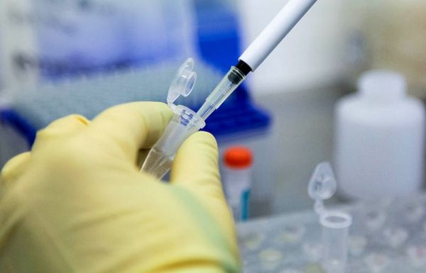 В России заявили о создании вакцины от коронавируса: когда ее выпустят