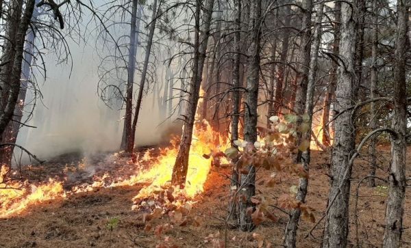     Новости Донецка - появились фото и видео пожара под Краматорском - новости Украины    