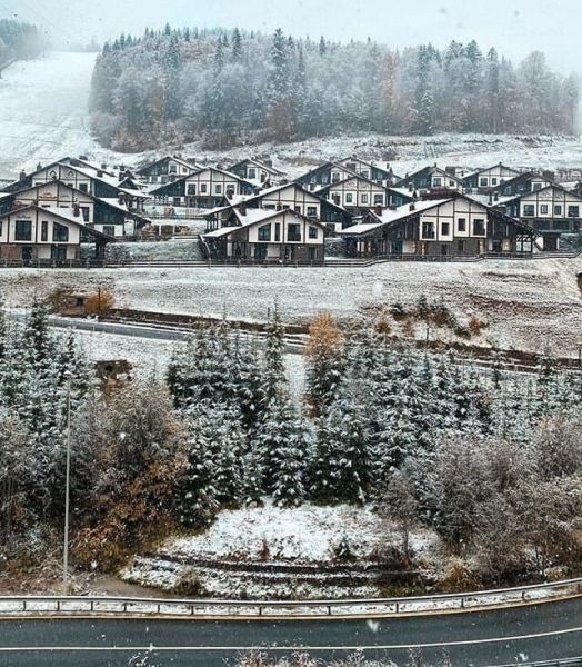 В трех областях Украины выпал снег. Фото