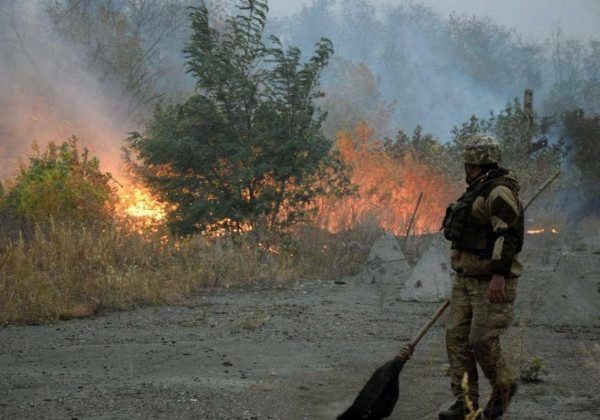     Жуткие пожары в Луганской области - кто виноват - новости Украины    