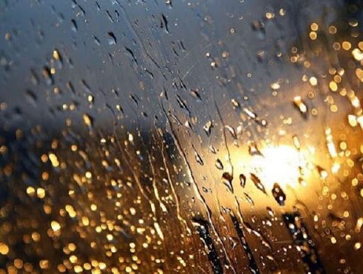В Киеве предупреждают о сильном дожде 7 октября