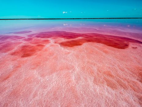 Розовое озеро и Синевир. В Google назвали самые популярные туристические места в Украине