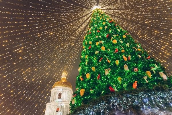 Елка на Софийской площади признана одной из самых красивых в Европе