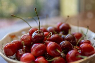     Эксперт рассказала, какими будут цены на черешню и абрикосы в Украине    