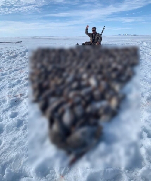 Депутат из партии Путина ради фото убил почти 200 птиц