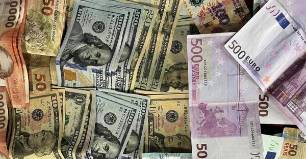 Евро вместо доллара: зачем НБУ хочет поменять основную валюту - Новости экономики