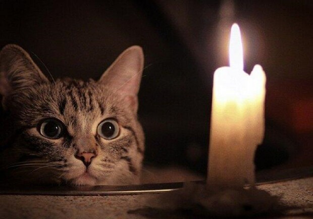 Котик возле свечи. 