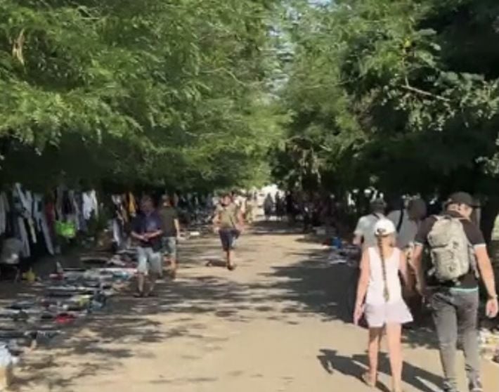Многоэтажка и кадетский колледж: в оккупированном Мелитополе россияне выкорчевывают черешневые сады Филибера