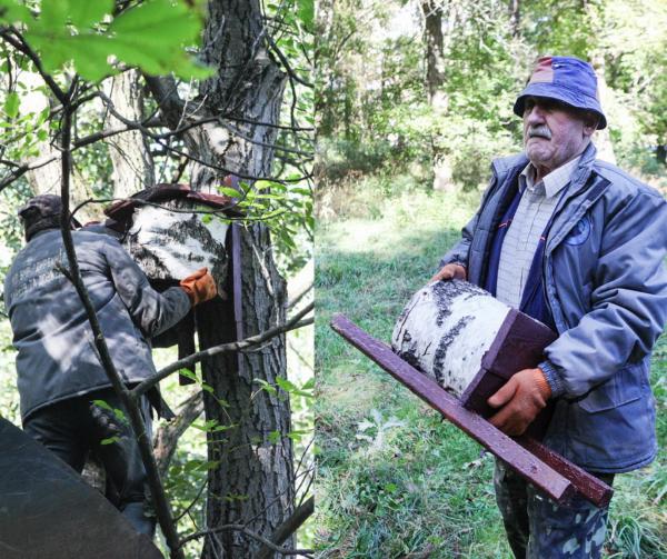 У Центральному парку Вінниці встановили будиночки для кажанів У Центральному парку Вінниці встановили будиночки для кажанів