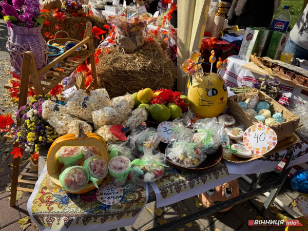 Лицарський турнір пам’яті Героя Небесної сотні – Максима Шимка проходить у Вінниці