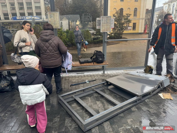 У центрі Вінниці машина в’їхала у зупинку з людьми: відео