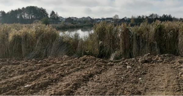 У Вінниці виявили забруднення прибережної смуги в районі Вишеньки У Вінниці виявили забруднення прибережної смуги в районі Вишеньки