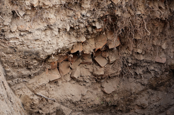 У центрі Вінниці завершили «розкопки» біля «росії» У центрі Вінниці завершили «розкопки» біля «росії»