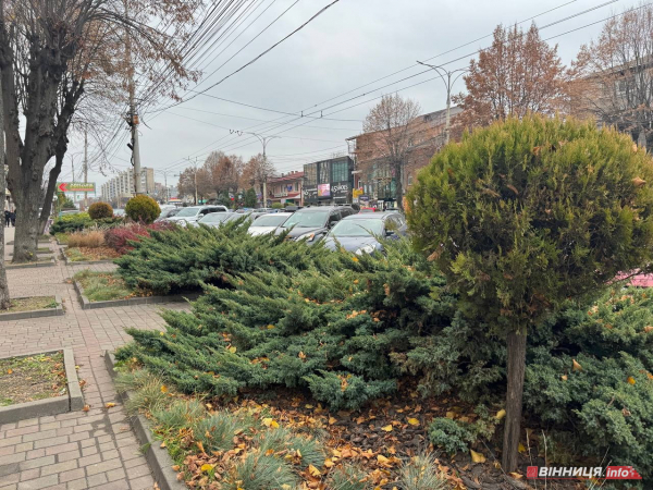 Район Вінниці на лівому березі Південного Бугу: Замостя, що варто знати Район Вінниці на лівому березі Південного Бугу: Замостя, що варто знати