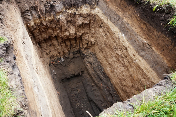 У центрі Вінниці завершили «розкопки» біля «росії» У центрі Вінниці завершили «розкопки» біля «росії»