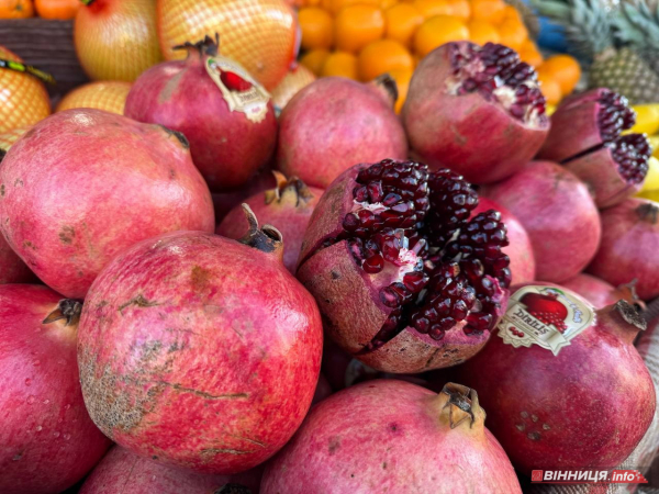 Атмосфера та ціни на вінницькому базарі: у скільки обійдеться святковий стіл 2025