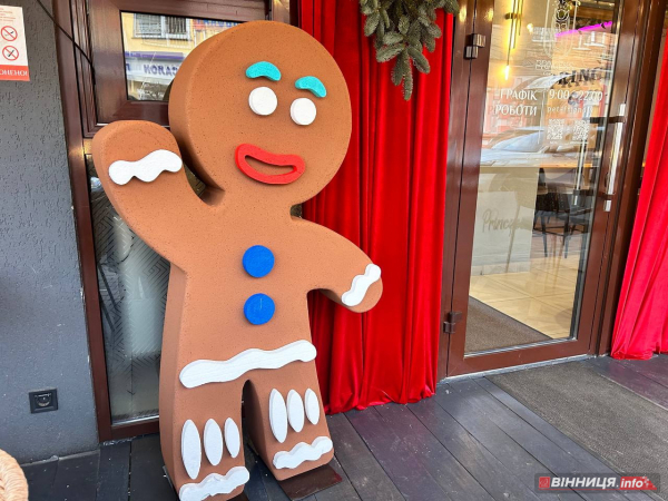 Де у Вінниці зробити фото біля новорічної ялинки: святкові локації міста