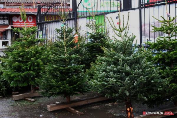 У Вінниці визначили вісім місць для ялинкових базарів: адреси