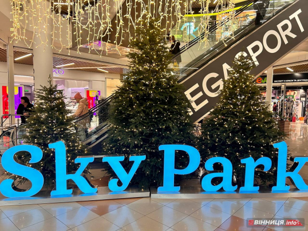 Де у Вінниці зробити фото біля новорічної ялинки: святкові локації міста