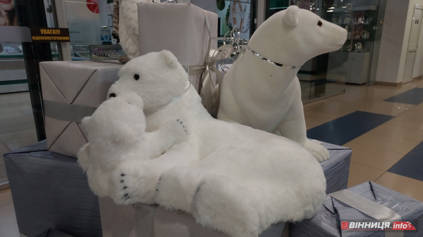 Де у Вінниці зробити фото біля новорічної ялинки: святкові локації міста