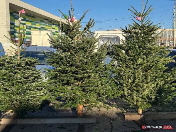 Атмосфера та ціни на вінницькому базарі: у скільки обійдеться святковий стіл 2025