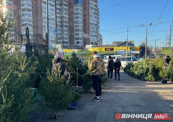 Утилізація ялинок Вінниця: що робити з деревом після свят Утилізація ялинок Вінниця: що робити з деревом після свят