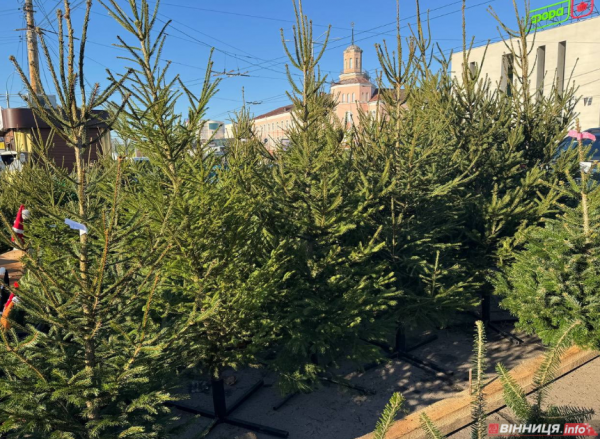 Утилізація ялинок Вінниця: що робити з деревом після свят Утилізація ялинок Вінниця: що робити з деревом після свят