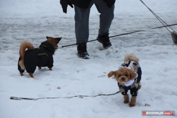 Гірки, санчата й дитячий сміх: фоторепортаж у Вінниці