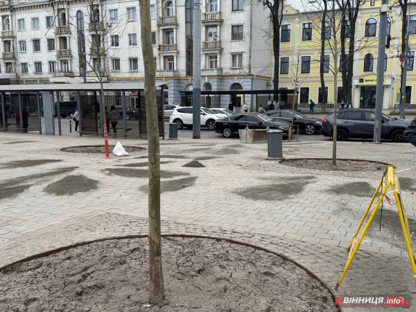 У центрі Вінниці після ремонту перекладають тротуарну плитку