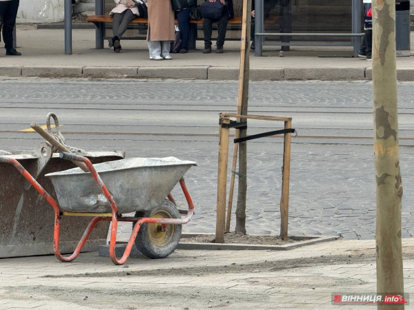 У центрі Вінниці після ремонту перекладають тротуарну плитку