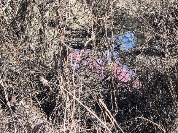 Чоловіку, що зливав кров худоби у річку Вінниці, виписали штраф