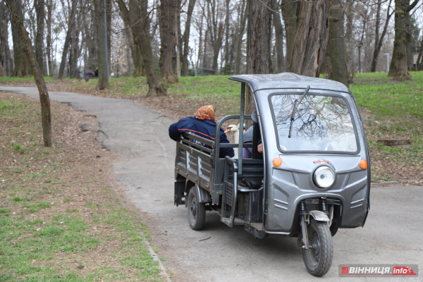 Пару лебедів повернули на озеро біля Центрального парку Вінниці: фото Пару лебедів повернули на озеро біля Центрального парку Вінниці: фото