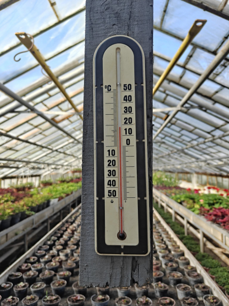 Квіти на зупинках та у кашпо: як у Вінниці готуються до сезону озеленення