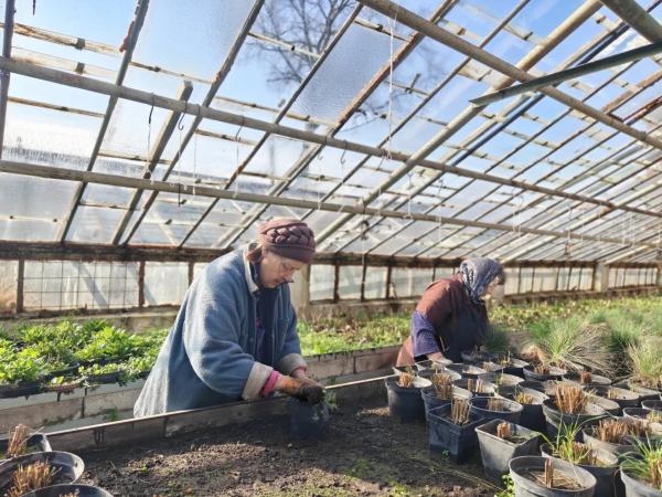 Квіти на зупинках та у кашпо: як у Вінниці готуються до сезону озеленення