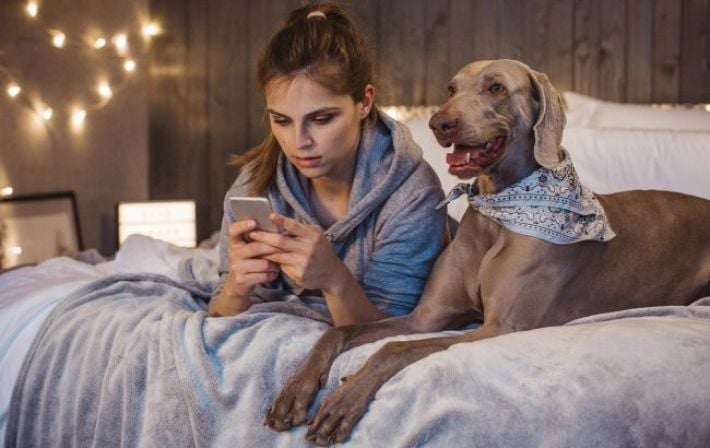 Четвероногий арендатор: где в Украине проще всего снять pet-friendly жилье и сколько это стоит в 2026 году