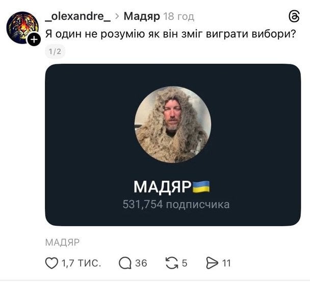 Також користувачі порівнюють Орбана із товстою зеленою жабою, котра «розпухла» від влади та протисавляють його українському воїну «Мадяру».