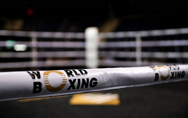 Російські боксери отримали права на виступи від World Boxing