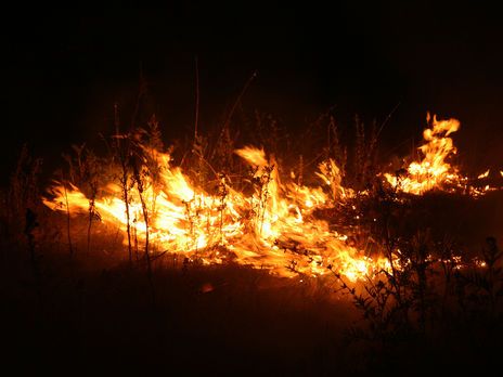 Под Киевом вспыхнул пожар. Огнем охвачено 200 м² ресторанного комплекса